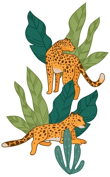 Leopard ωοτοκίας και κρύβεται σε πράσινο τροπικό φύλλωμα — Διανυσματικό Αρχείο