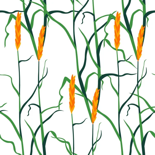 Naturaleza y flora, espiguillas de trigo con follaje — Vector de stock