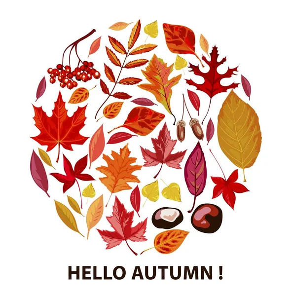 Witam jesień, plakat z suchych liści i liści — Wektor stockowy