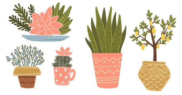 Vasen mit Pflanzen, blühende Topfpflanzen — Stockvektor