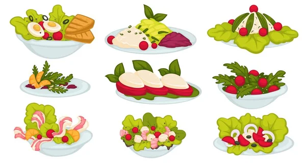 Салаты и здоровую пищу с зеленью и овощами — стоковый вектор