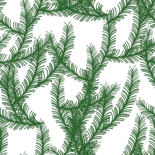 Çam ağacı dalları, köknar dalları Noel baskısı — Stok Vektör