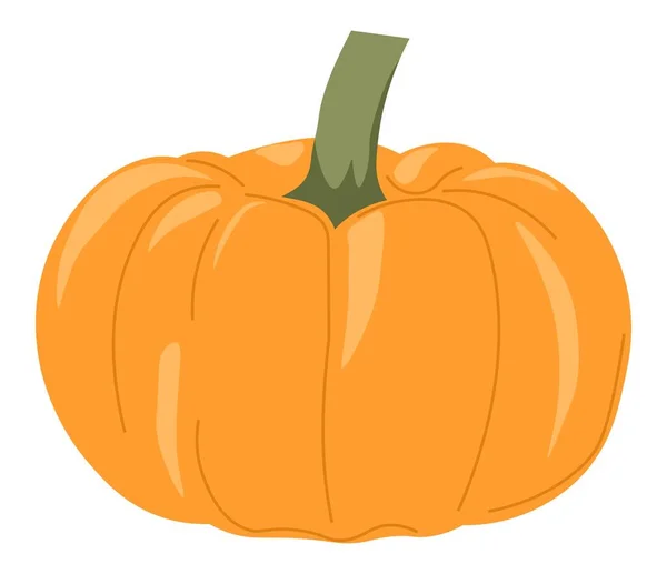 Pumpkin autumn vegetable, ripe veggie harvest — Stock Vector