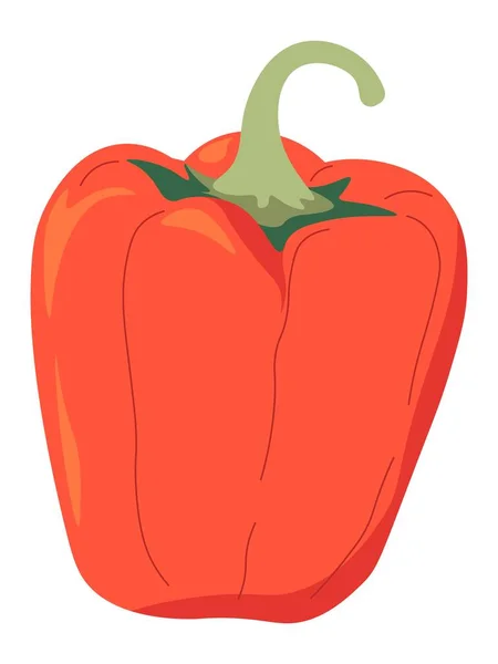 Pimentón rojo, pimiento orgánico producto vector — Vector de stock