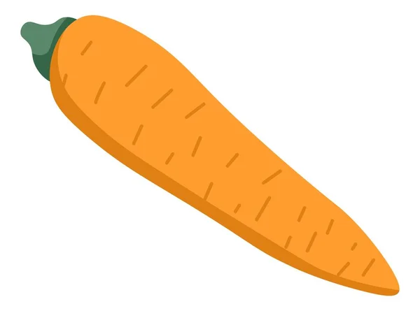 Organic carrot vegetable, tasty natural veggie — Stock Vector
