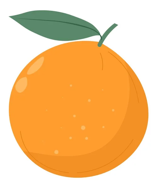 Fruta naranja con hoja, vector cítrico orgánico — Vector de stock