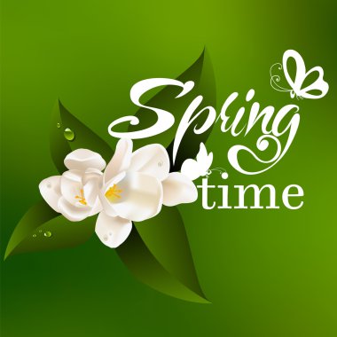 Kelebekler ile yazı bahar tasarımı