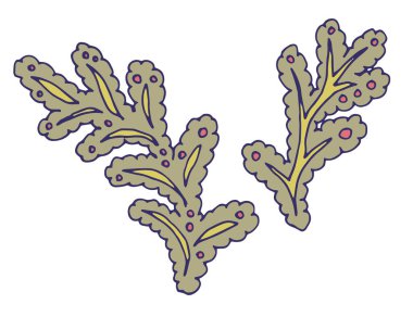 El çizimi tarzında dekoratif botanik dalı, beyaz arkaplanda izole edilmiş, baskılar ve yaratıcı tasarım projeleri için uygun vektör çizimi.