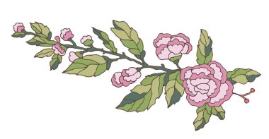 Tomurcukları ve yeşil yaprakları olan küçük çiçek dalları, küçük etiketler, çıkartmalar, planlayıcılar ve ince paket aksanları için mükemmel izole edilmiş vektör..