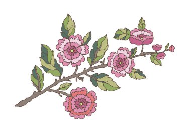 Birden fazla pembe çiçek ve yeşil yapraklı zarif bir dal çıkartmalar, ambalajlar, tebrik kartları, afişler ve markalar için mükemmel izole edilmiş bir vektör..