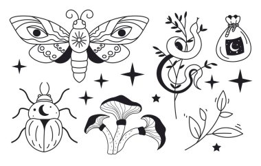 Dövme baskıları, marka posterleri ve alternatif ürünler için siyah ana hatlı temiz monokrom mistik grafikler.