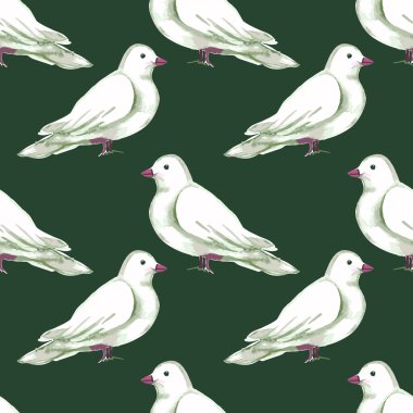 Sulu Boya Dikişsiz desen beyaz güvercinler ile