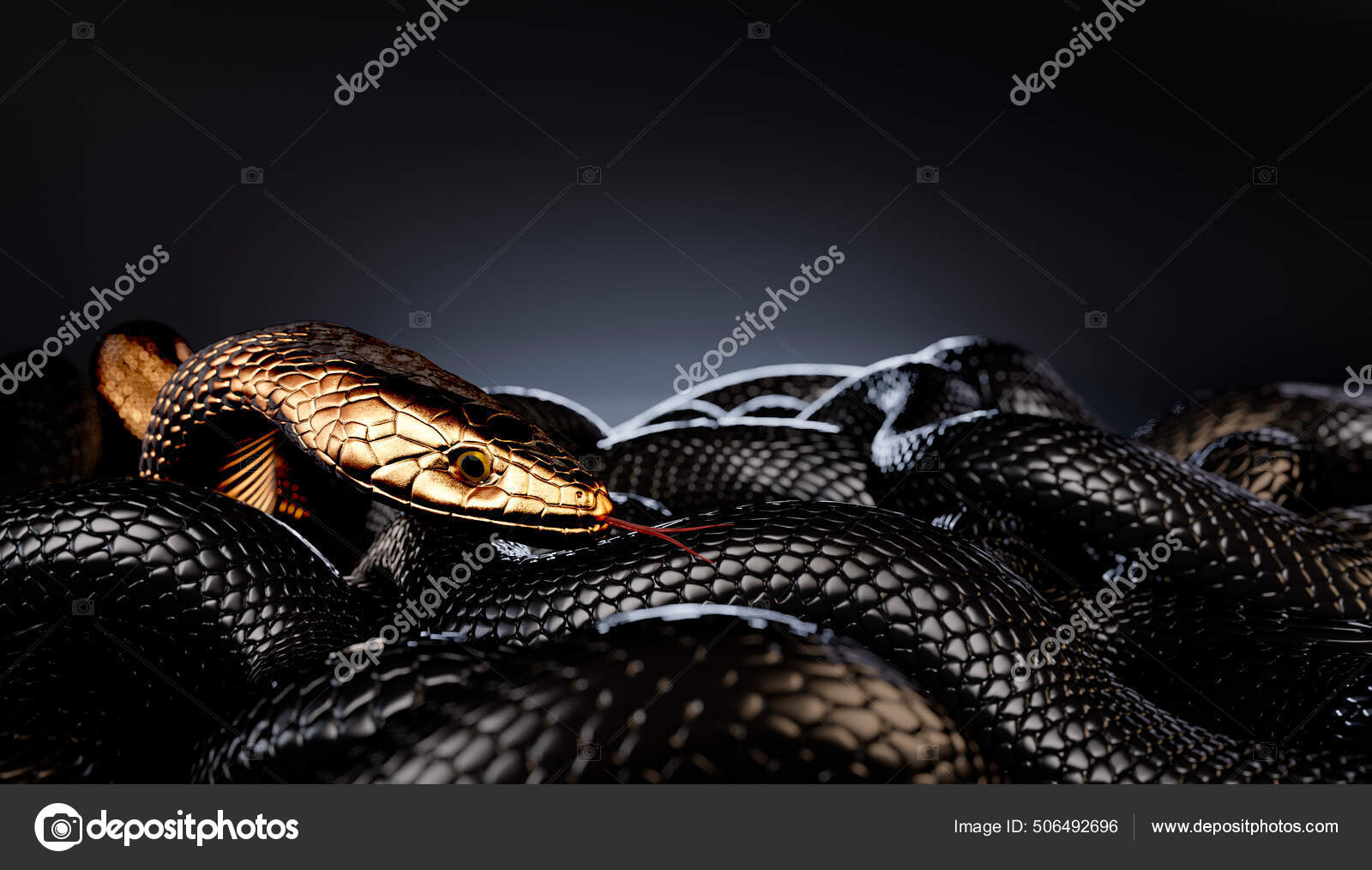 Black Snake Mobile Photo iPhone Wallpapers Free Download