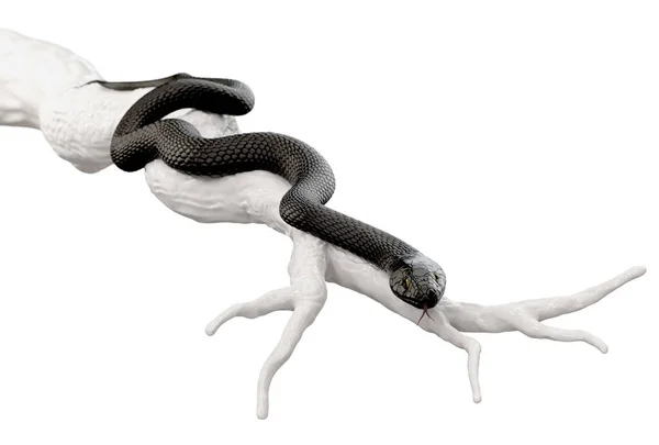 Serpente Nero Ramo Albero Secco Isolato Sfondo Bianco Illustrazione — Foto Stock