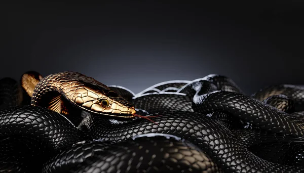 Bronze Golden Snake Entre Cobras Negras Ilustração — Fotografia de Stock
