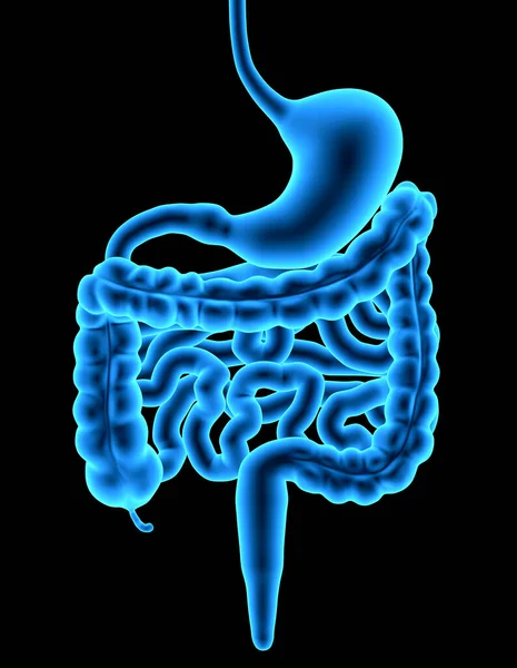 Sistema Digestivo Humano Aislado Sobre Fondo Negro Efecto Rayos Ilustración —  Fotos de Stock