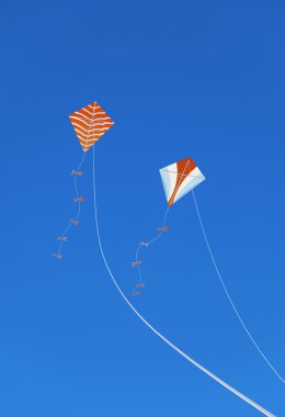 Kites in the Sky clipart