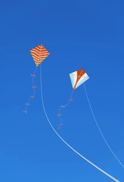 Kites in the Sky — Stock Photo, Image