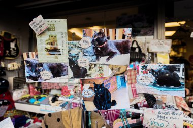 Yanaka, belgili tanımlık cats şehir içinde kedi temalı vitrin. 