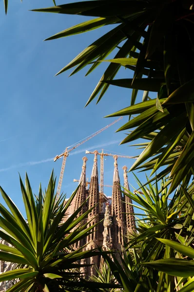 Sagrada Familia, Barcelona, Hiszpania. — Zdjęcie stockowe