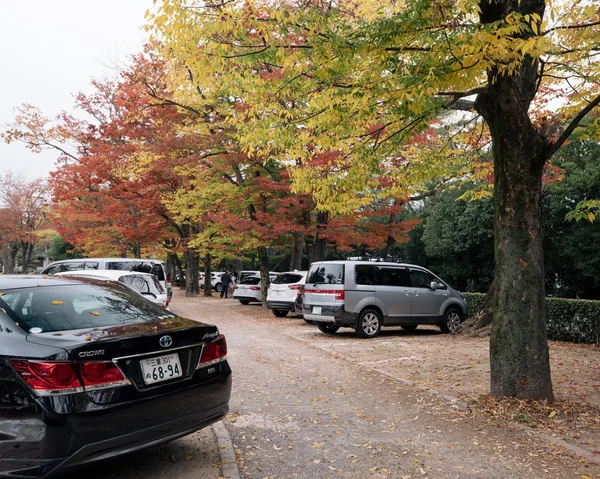 Autumn trees in a car park in Kyoto. — Stock Photo, Image