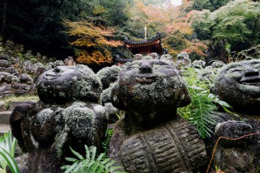  Otagi anlayışımız-ji Tapınağı, Kyoto, Japonya. 