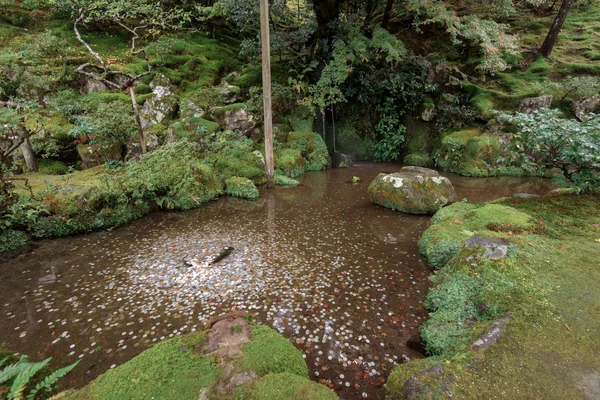 Monety jako ofiary w staw na Ginkakuji Srebro Pawilon w Kioto, Japonia — Zdjęcie stockowe