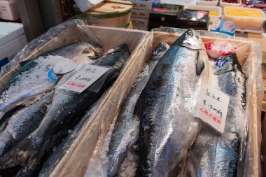 Tokyo, Japonya - 22 Ocak 2016: Tokyo, Japonya 'daki Tsukiji pazarında deniz ürünleri satışa sunuldu. 