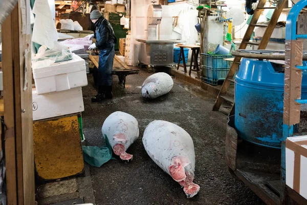 Tokio Japan Jan 2016 Bevroren Tonijn Tsukiji Vismarkt Tokio Japan — Stockfoto