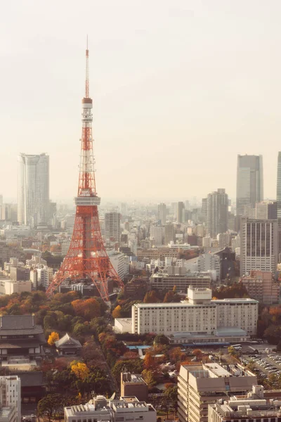 日本东京 2015年12月9日 日落时分的东京塔 — 图库照片