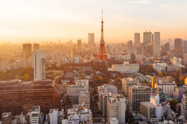 日落时分的日本东京塔 — 图库照片