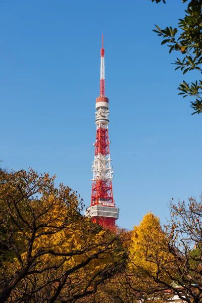 Tokio Japonsko Prosince 2015 Tokijská Věž Podzimní Stromy Výhled Parku — Stock fotografie