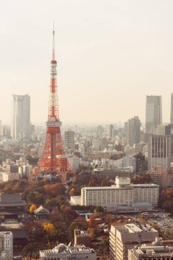Tokyo, Japonya - 09 Aralık 2015: Tokyo Kulesi Japonya Gün batımında 