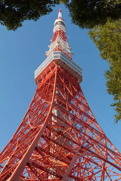 Токио Япония Декабря 2015 Токийская Башня Низким Углом Обзора Голубое — стоковое фото