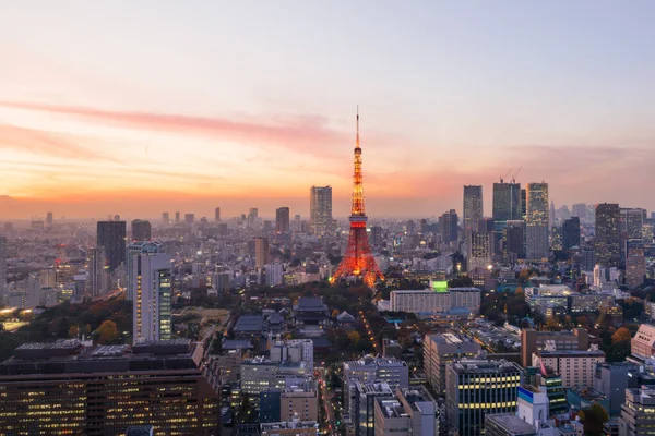 Éjszakai Kilátás Tokió Skyline Tokió Japán — Stock Fotó