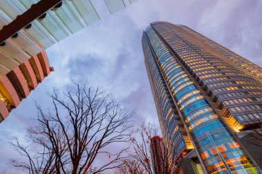 Tokyo, Japonya - 11 Aralık 2015: Roppongi Hills Mori Kulesi