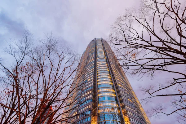 Tóquio Japão Dezembro 2015 Vista Torre Mori Roppongi Hills — Fotografia de Stock