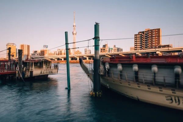 Tokyo Giappone Dicembre 2015 Tokyo Skytree Sumida River Tokyo Giappone — Foto Stock