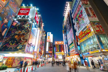 Tokyo, Japonya - 8 Ocak 2016: Tokyo, Japonya 'da Akihabara ilçesinin sokak manzarası. Akihabara ilçesi video oyunları, anime, manga ve bilgisayar ürünleri için bir alışveriş alanıdır..