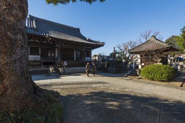 Tokyo, Japonya - 9 Ocak 2016: Tokyo, Japonya 'daki ünlü Ryusen-ji Tapınağı' na ziyaretçiler. 