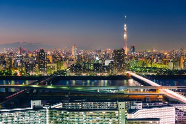 Tokyo, Japonya - 10 Ocak 2016: Tokyo hava kararınca Skyline, Asakusa ilçesi, Arakawa Nehri ve Tokyo Skytree manzarası