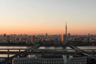Tokyo, Japan - January 10, 2016:   Tokyo Skyline at dusk, view of Asakusa district, Arakawa River and Tokyo Skytree clipart