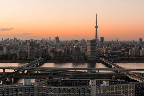 Tokió Japán 2016 Január Tokió Skyline Alkonyatkor Kilátás Asakusa Kerületre — Stock Fotó