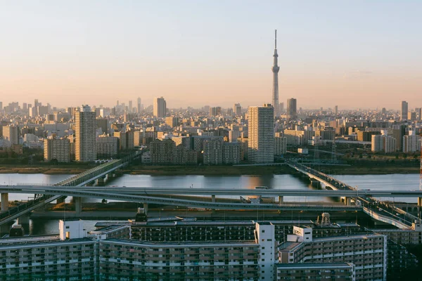 Tokió Japán 2016 Január Tokió Skyline Alkonyatkor Kilátás Asakusa Kerületre Stock Kép