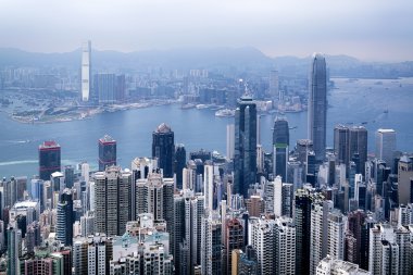 Hong kong manzarası