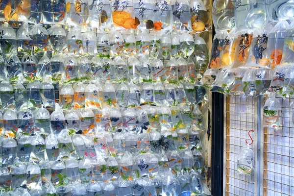 Goldfish market in Mong Kok, Hong Kong.