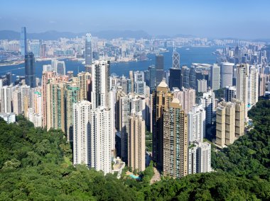 Hong kong manzarası