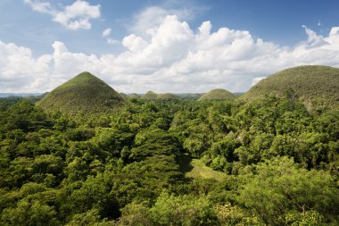 Çikolata Hills Bohol Adası, Filipinler.