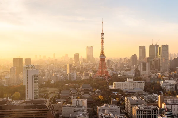 Skyline tokyo ao pôr do sol — Fotografia de Stock