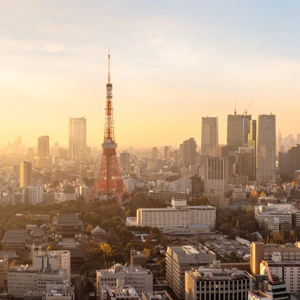 Skyline tokyo al tramonto — Foto Stock